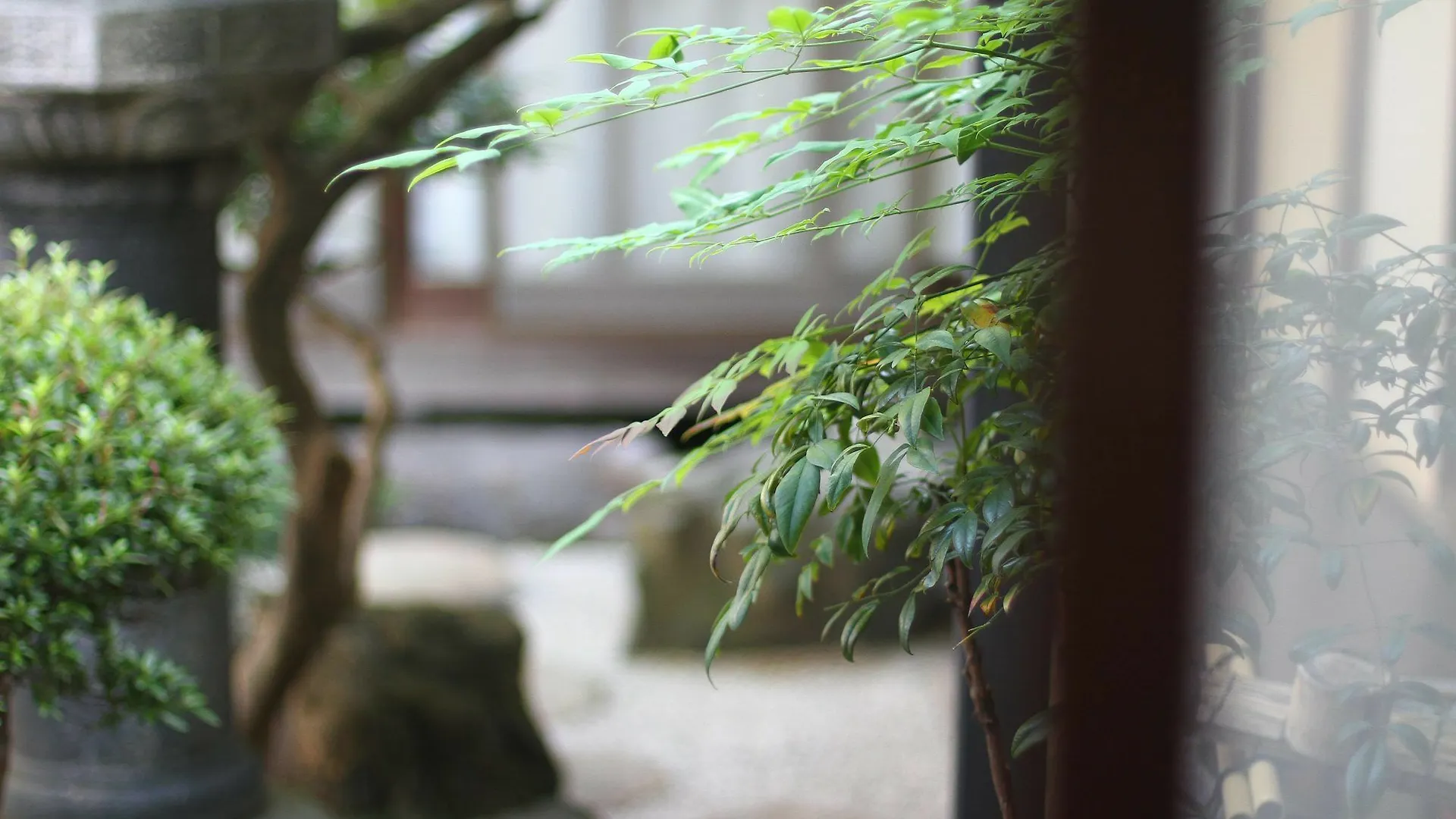 ** 招待所 Guesthouse Kyoto Compass 日本